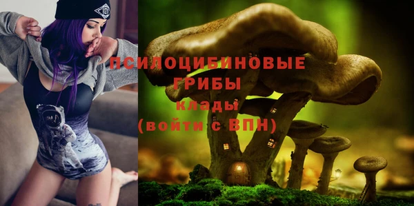 герыч Алексин